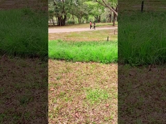 Yenilikçi Teknoloji 100W Portatif Güneş Paneli Açık Hava Maceraları İçin